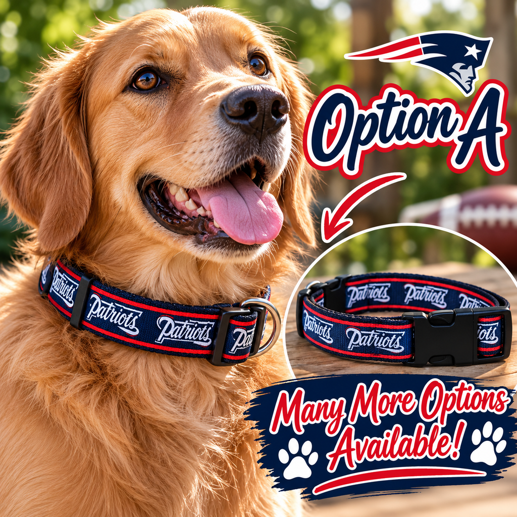 New England Patriots Dog Collar