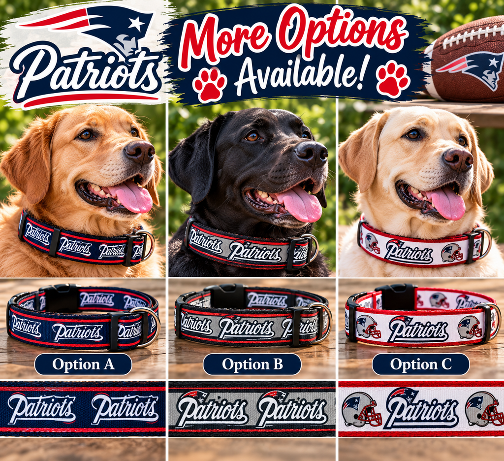 New England Patriots Dog Collar