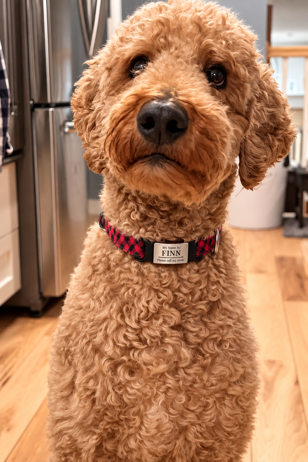 Customizable Silicone Pet ID Tag (Rhinestones Optional)/Custom Silicone Dog ID Tag | Fully Personalized Pet Tag | Add Any Text or Image | Silent Collar Tag