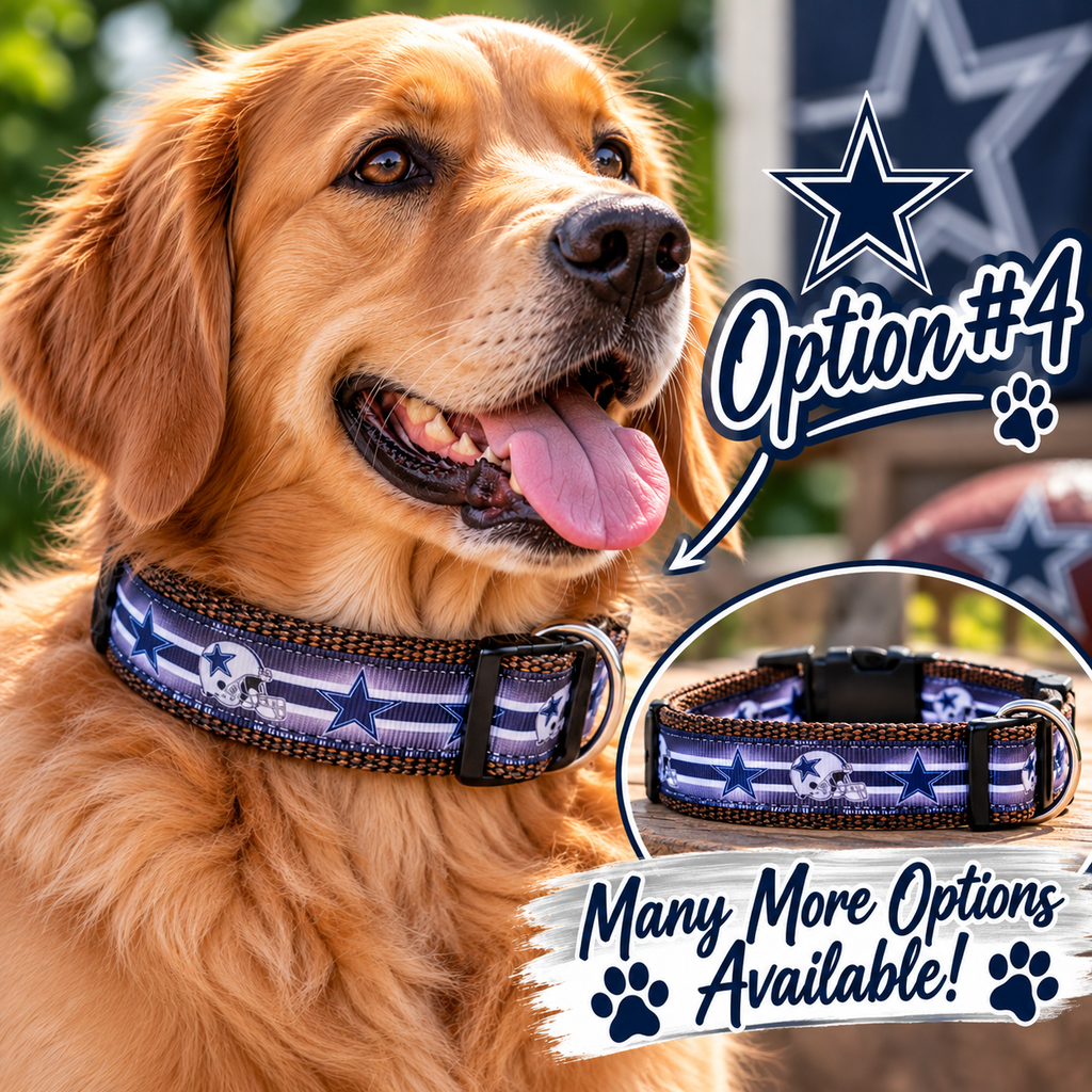 Dallas Cowboys Dog Collar
