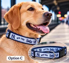 New York Yankees Dog Collar