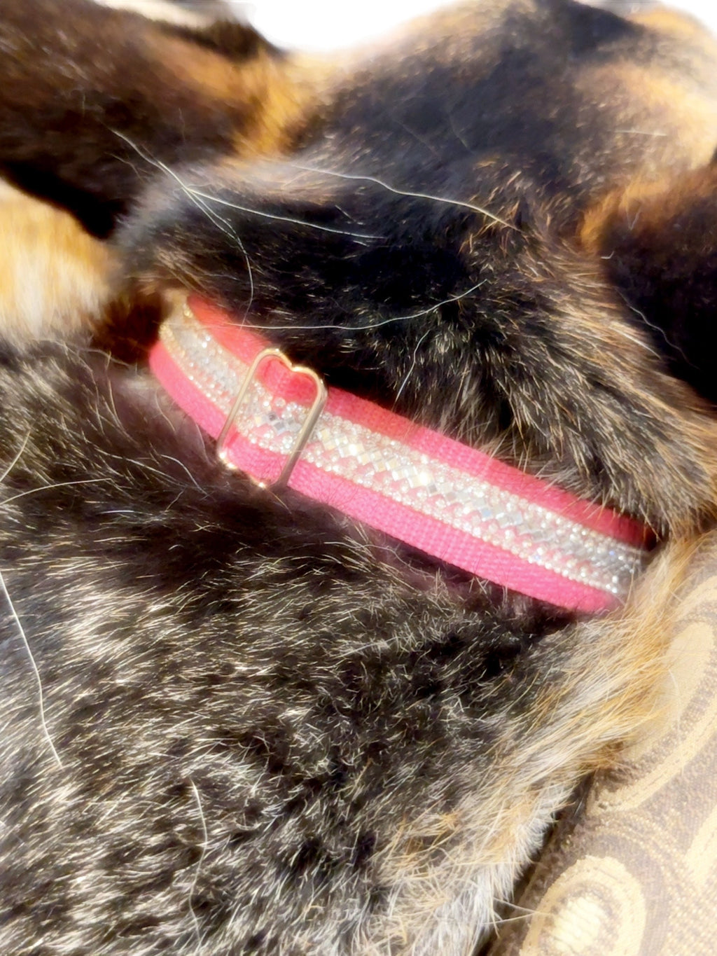 Rhinestone Sparkle Dog Collar – Glam Crystal Bling, Adjustable Fit