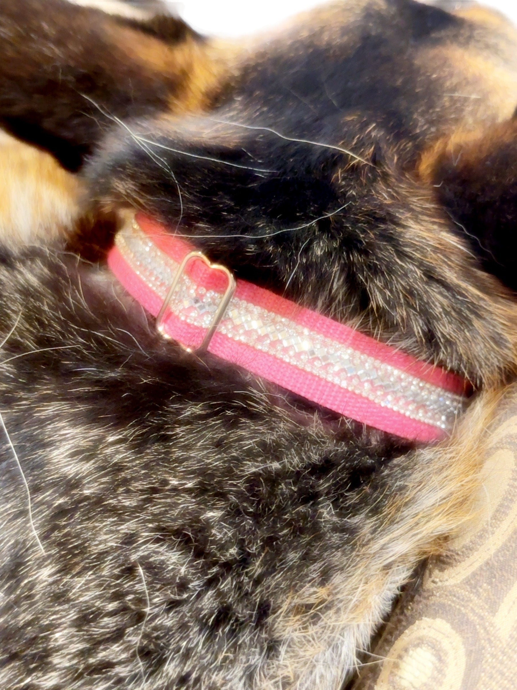 Rhinestone Sparkle Dog Collar – Glam Crystal Bling, Adjustable Fit