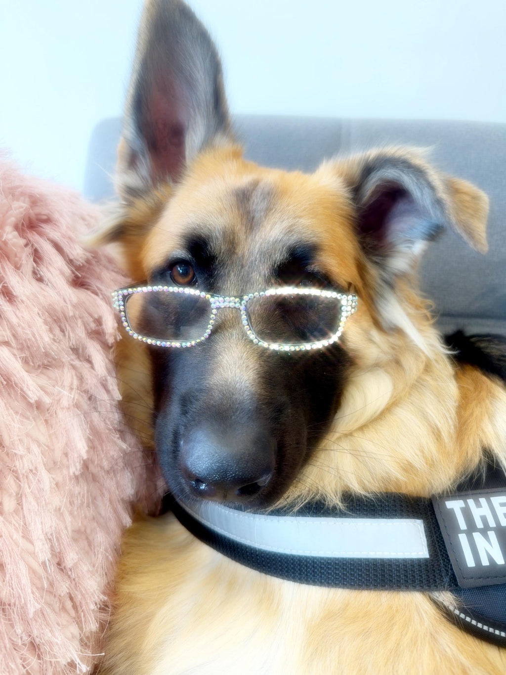 Rhinestone Reading Glasses for Women | Bling Readers | Sparkly Glasses