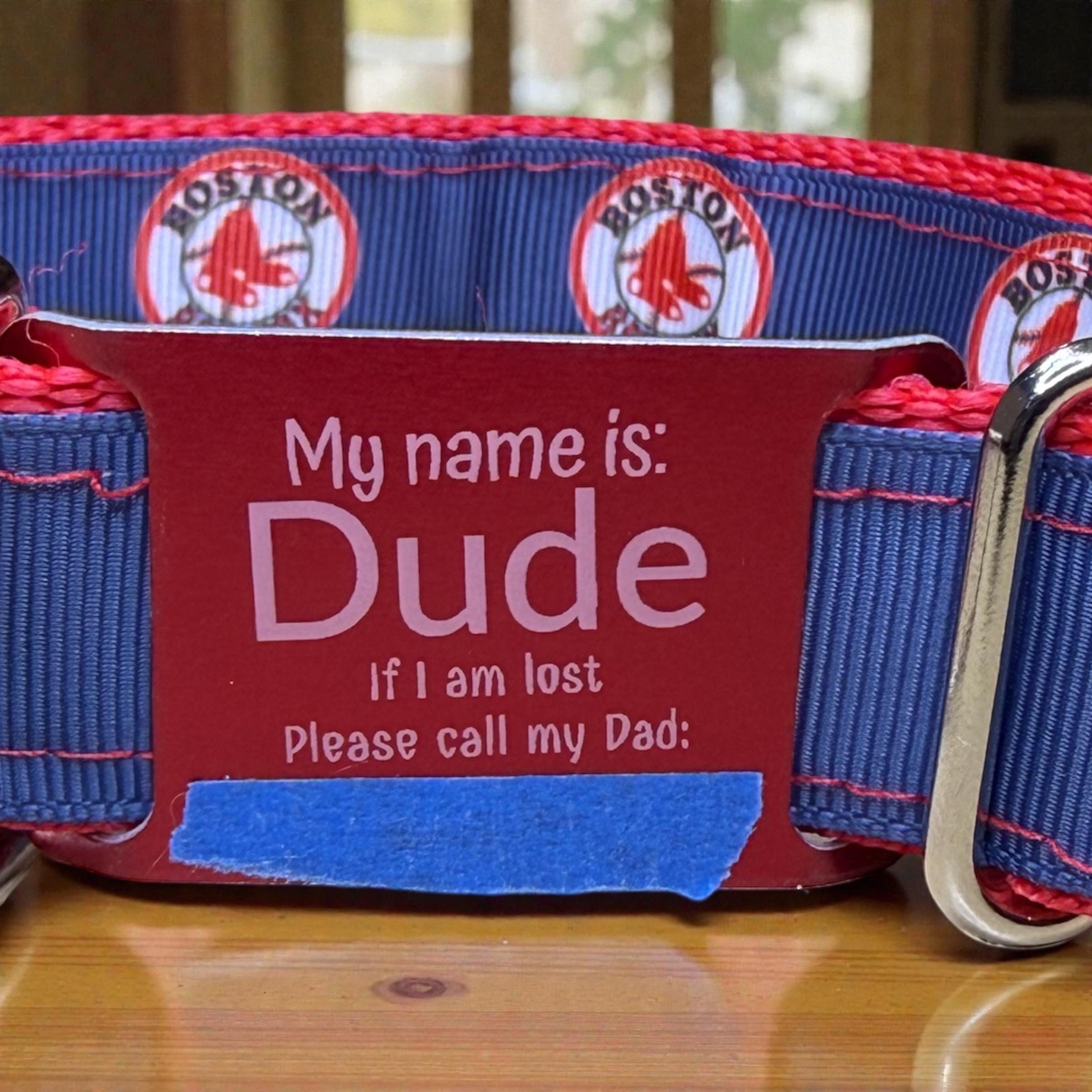 Custom Engraved Slide-On Dog Collar ID Plate: Add-On Only