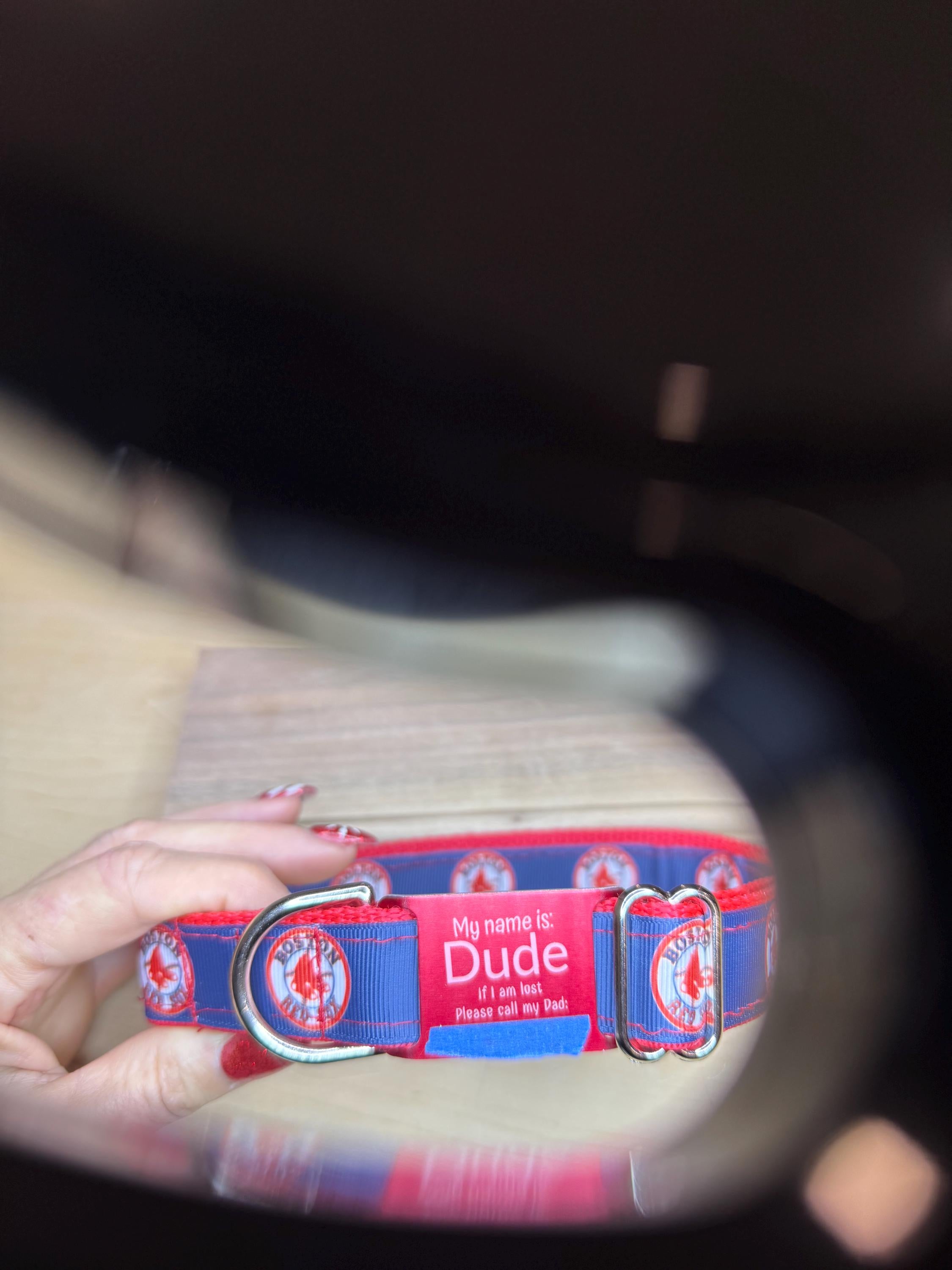 Custom Engraved Slide-On Dog Collar ID Plate: Add-On Only