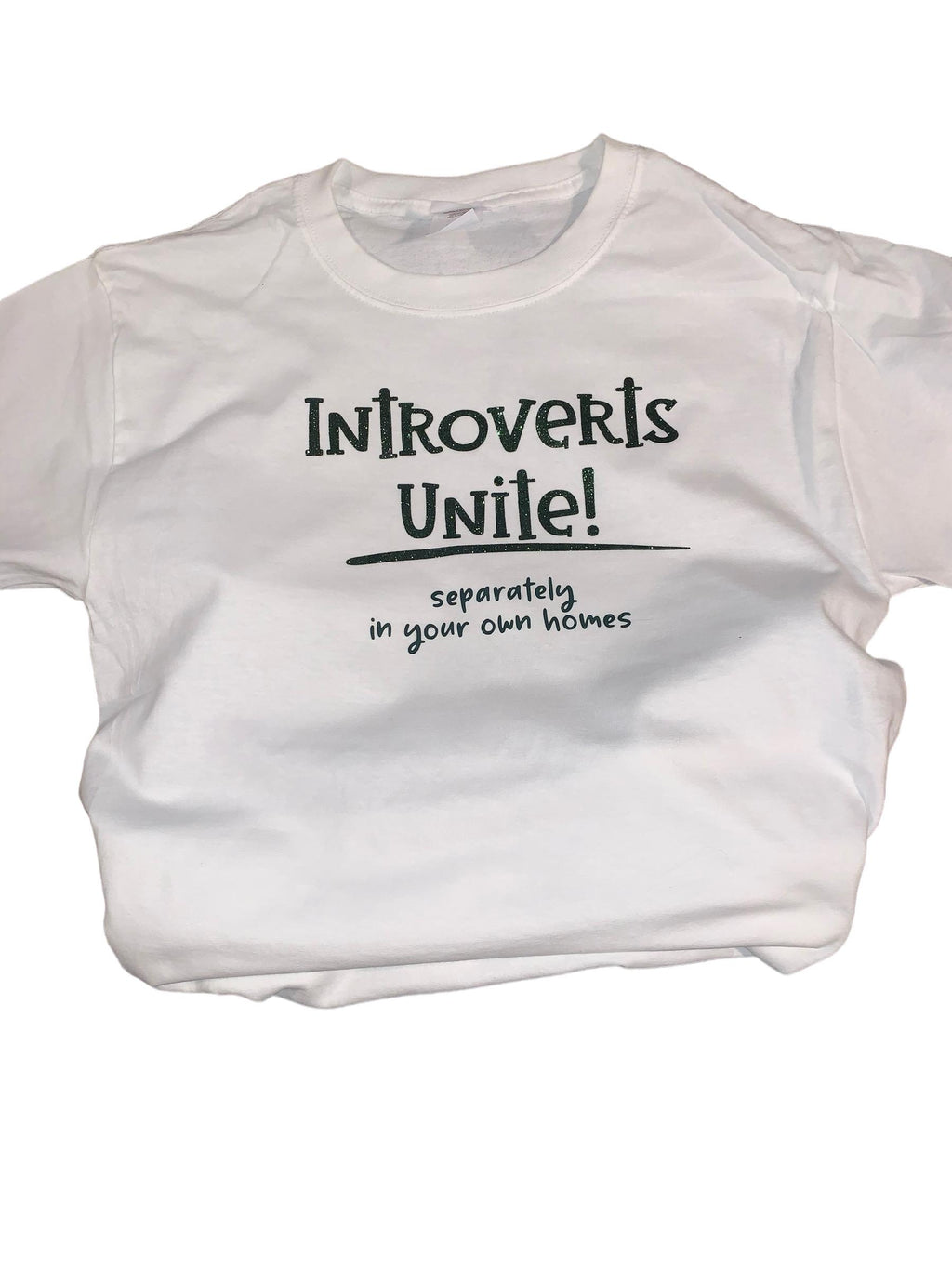 Introverts Unite T-Shirt | Funny Sarcastic Graphic Tee