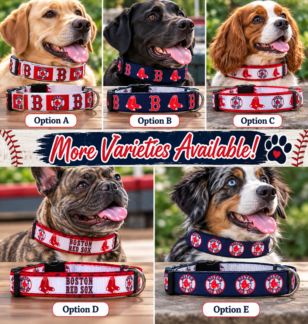 Red Sox Dog Collar