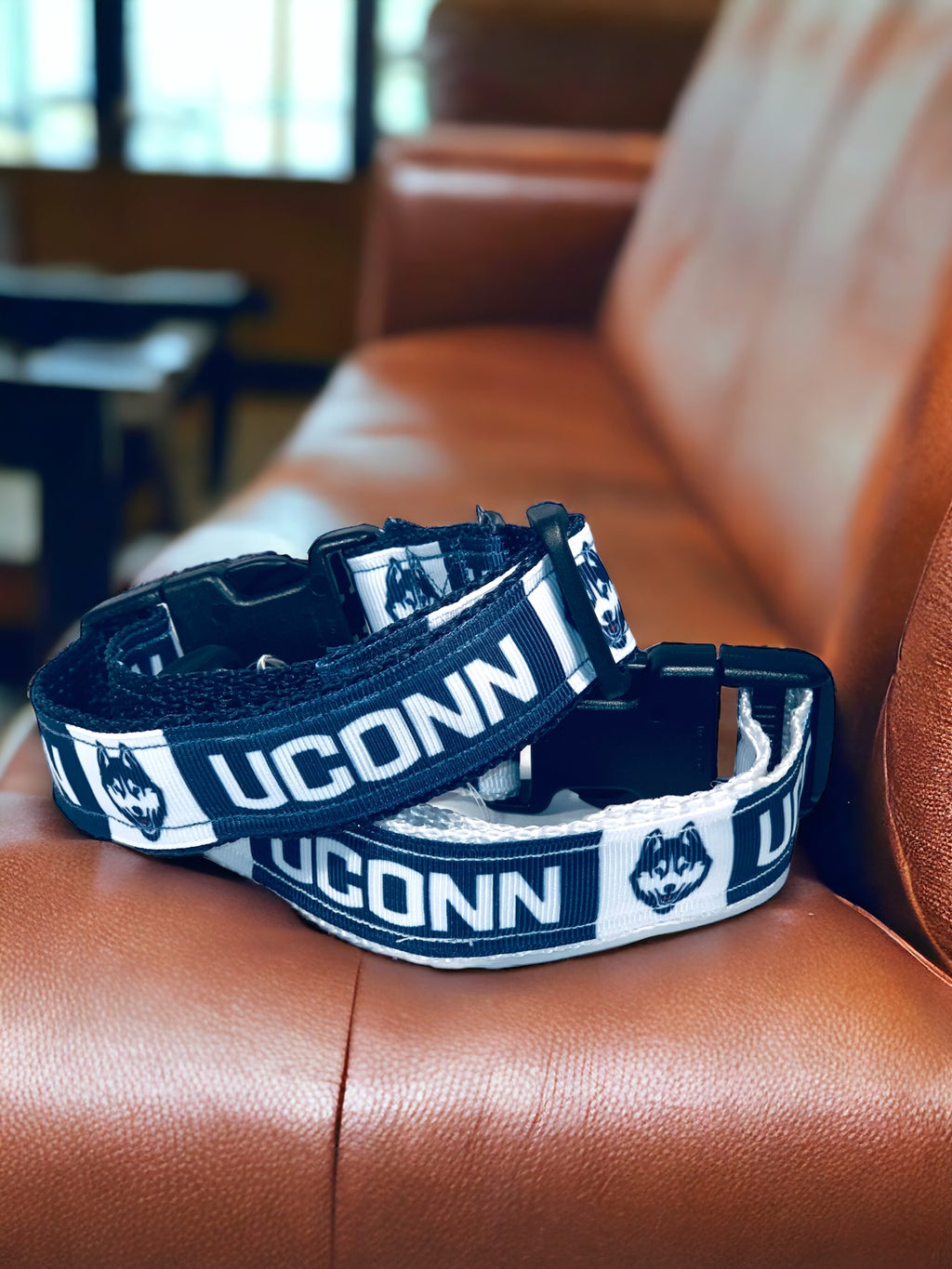 UConn Huskies Dog Collar | Adjustable Blue & White Pet Collar