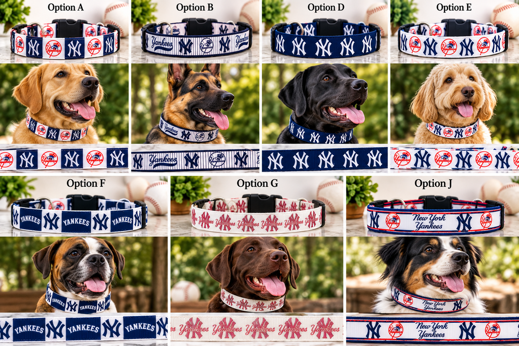 New York Yankees Dog Collar